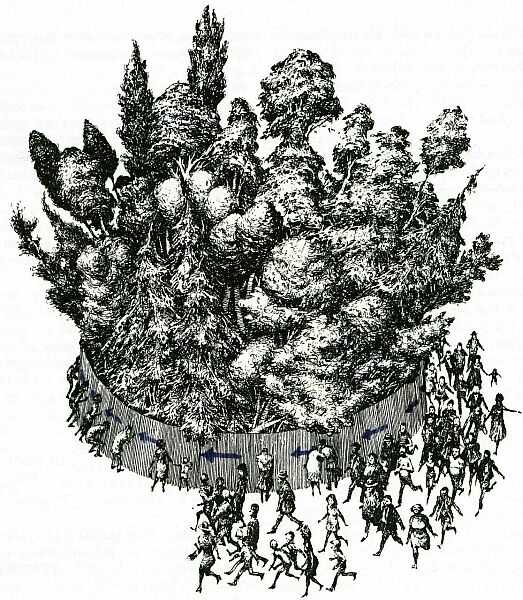 ilustrácia Albína Brunovského (po kliknutí sa zväčší)