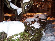 10.jpg (140 KB) 10.jpg (140 KB)